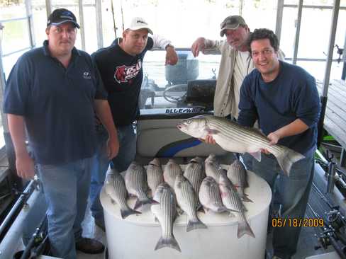 Nice Striped Bass