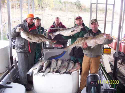 Nice Striped Bass