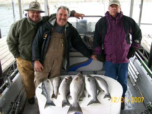 Nice Striped Bass