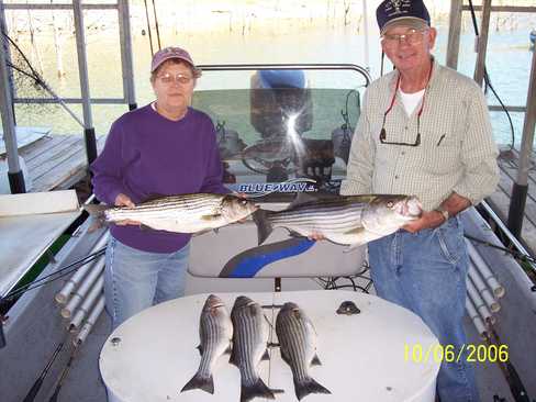 Nice Striped Bass