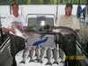 (07/09/2008) - Nice Striped Bass