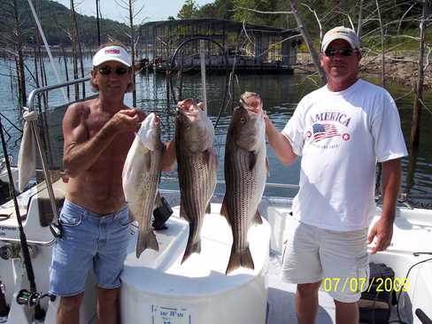 Nice Striped Bass