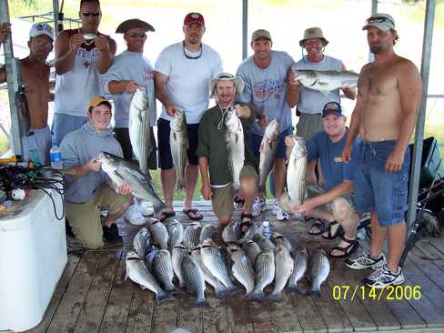 Nice Striped Bass