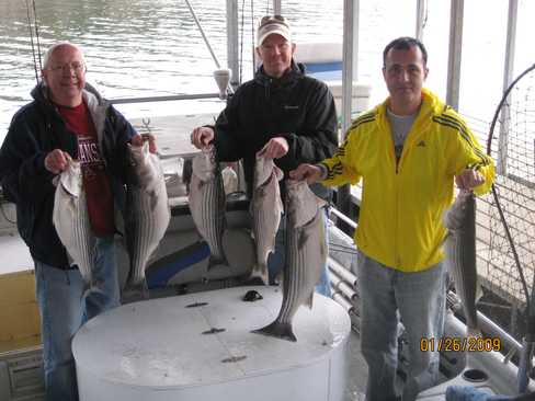 Nice Striped Bass