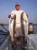 (06/23/2005) - Nice Striped Bass