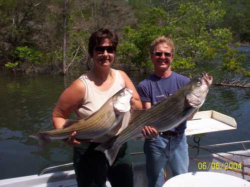 Nice Striped Bass