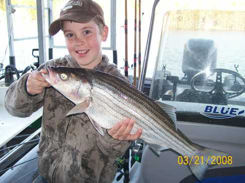 Nice Striped Bass