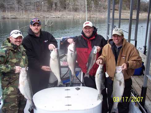 Nice Striped Bass