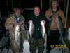 (03/22/2008) - Nice Striped Bass