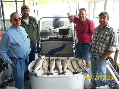 Nice Striped Bass