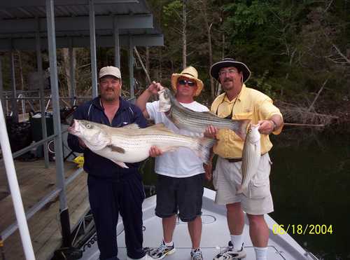 Nice Striped Bass