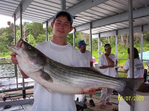 Nice Striped Bass