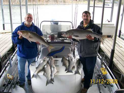 Nice Striped Bass