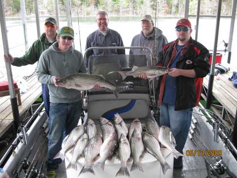 Nice Striped Bass