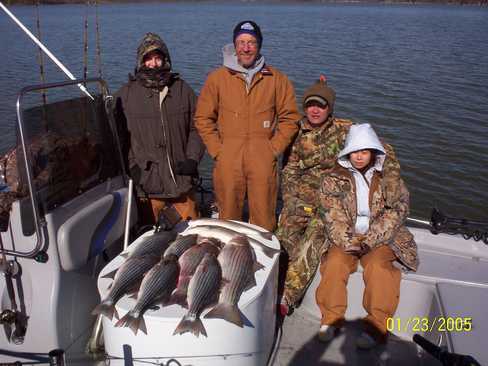 Nice Striped Bass