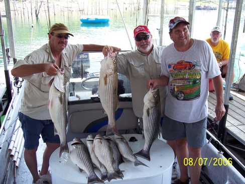 Nice Striped Bass