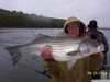 (04/24/2004) - Now that is a Hog Striper