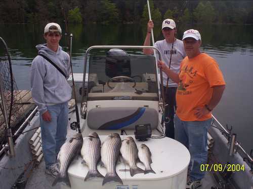 Nice Striped Bass