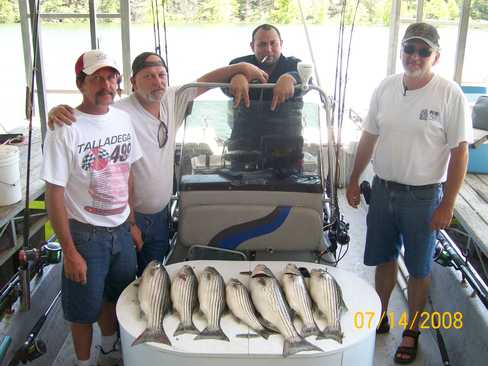 Nice Striped Bass