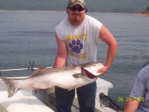 Nice Striped Bass