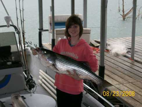 Nice Striped Bass