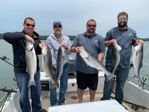 Nice Striped Bass