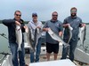 (05/20/2019) - Nice Striped Bass