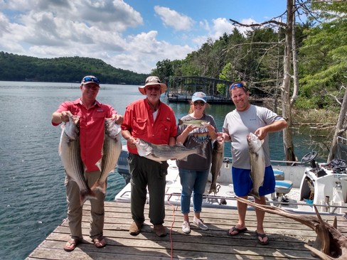 Nice Striped Bass