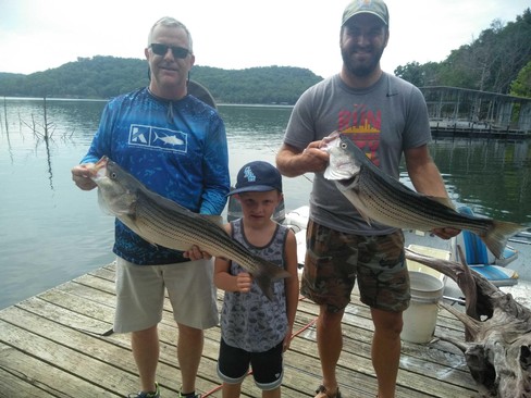 Nice Striped Bass