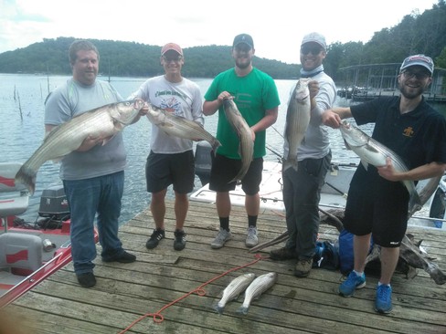 Nice Striped Bass