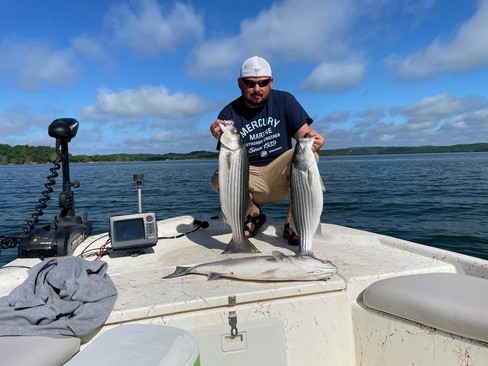 Nice Striped Bass