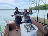(05/30/2021) - Nice Striped Bass
