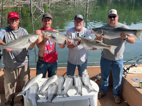 Nice Striped Bass