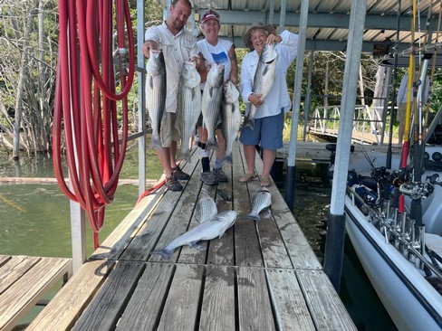 Nice Striped Bass