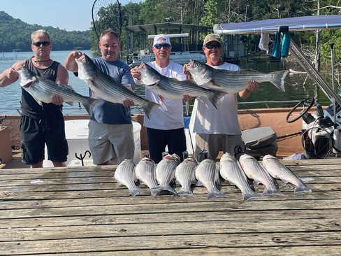 Nice Striped Bass