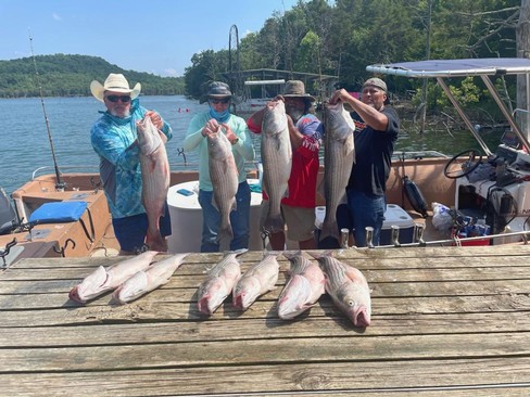 Nice Striped Bass