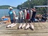 (06/24/2021) - Nice Striped Bass