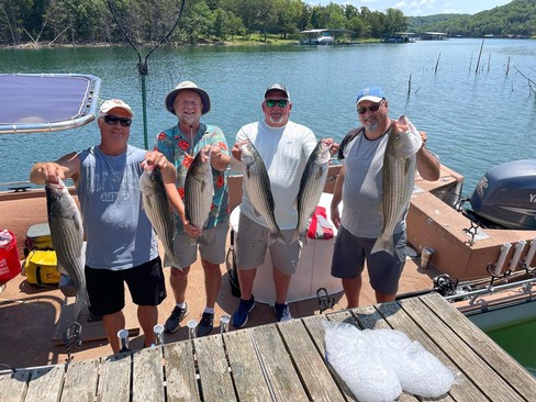 Nice Striped Bass