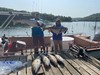 (07/14/2021) - Nice Striped Bass