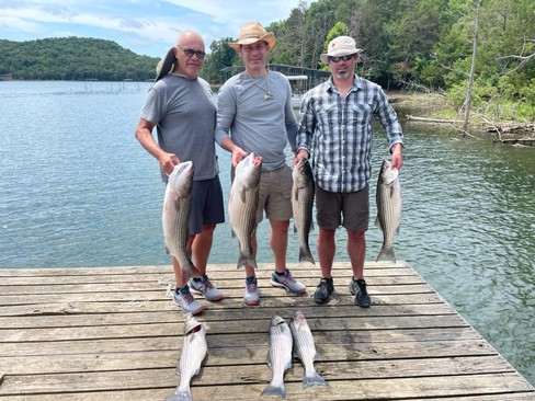 Nice Striped Bass