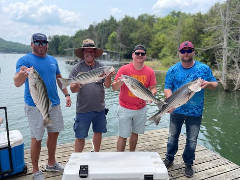 Nice Striped Bass