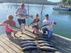 (08/28/2021) - Nice Striped Bass