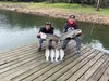 (09/21/2021) - Nice Striped Bass