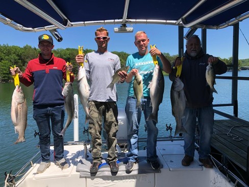 Nice Striped Bass