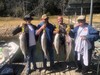 (10/03/2022) - Nice Striped Bass