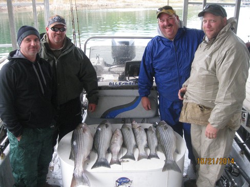 Nice Striped Bass