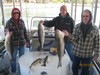 (10/22/2013) - Nice Striped Bass