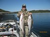 (10/23/2013) - Nice Striped Bass