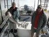 (11/02/2013) - Nice Striped Bass