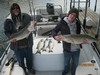 (11/02/2013) - Nice Striped Bass